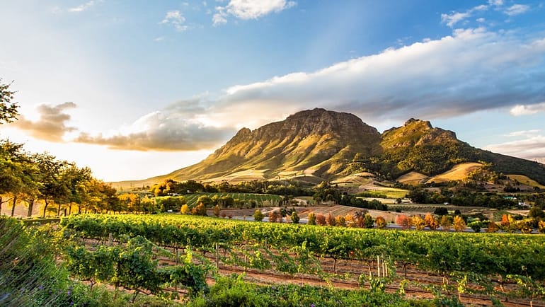 Safest countries in Africa in 2020